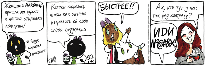 Котейкины Новости от 30.08.2025