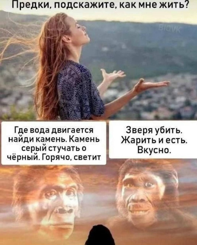    , 