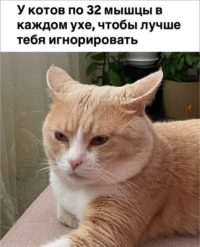    ,   , 