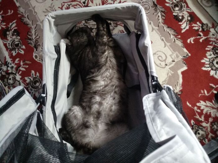 Когда стало полегче.