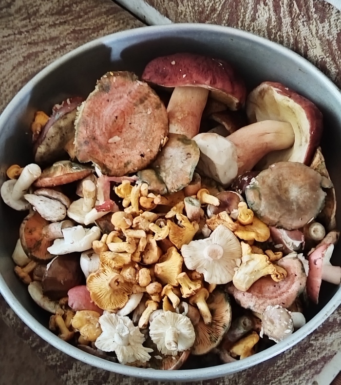 ������� ������, ����� �������