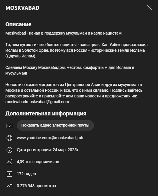 Радикалы на YouTube