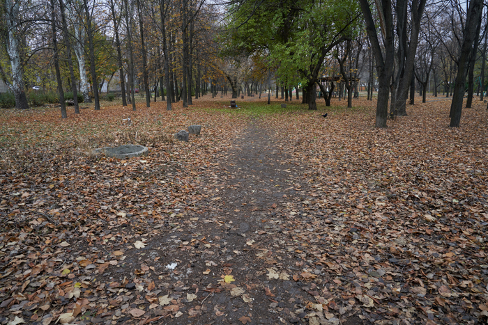 грубо говоря, просто кусок леса с тропинками посреди города
