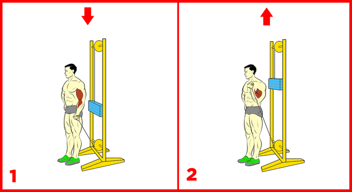 3   ,   ! ,  , , , ,  , , , , ,  , , 