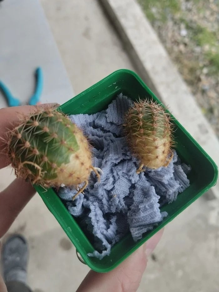    , , ,  , , ,  , 