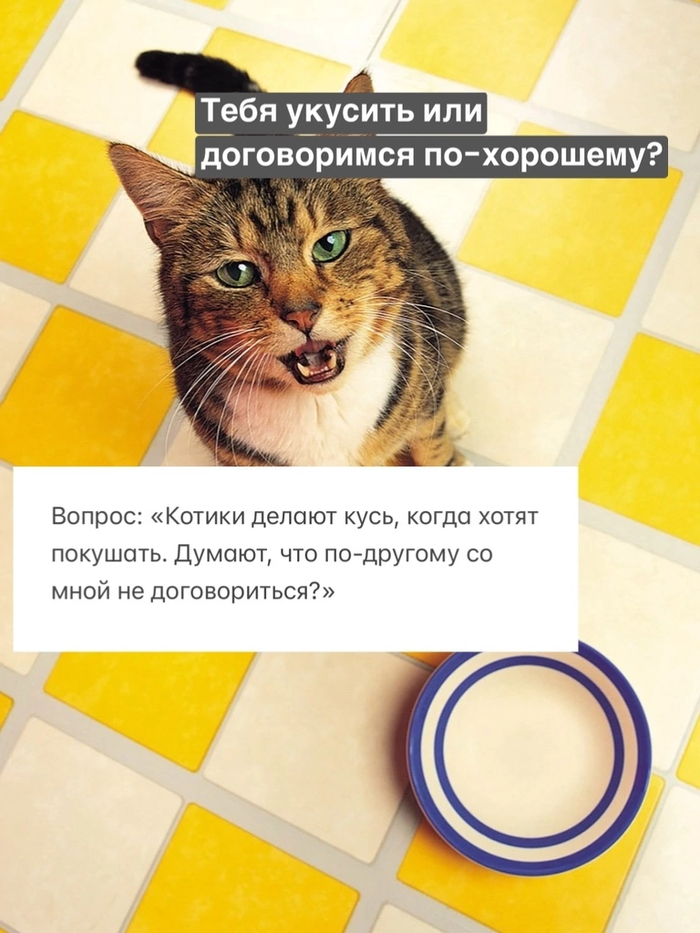   ,   . ,  -    ? , , ,  , , , 