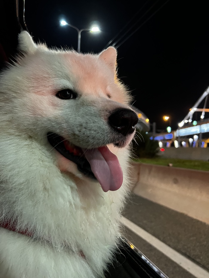 ������� ������