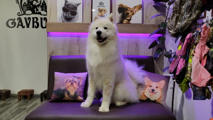 ����� �������