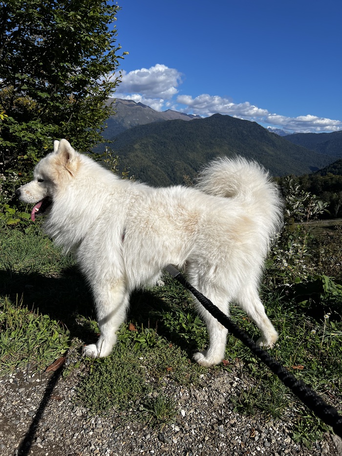 ���� � ������