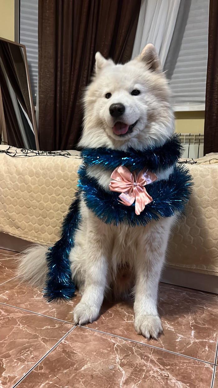 ����� ��� 2025