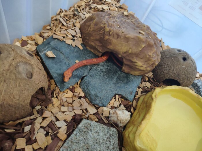 ������� ����� �������� �����.