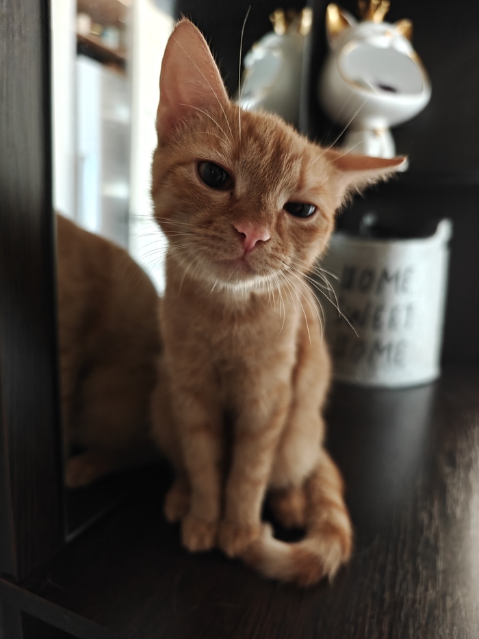     , , ,   , ,  ,  , ,  ,   , ,  