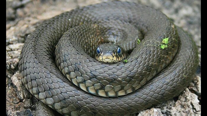 С первым сентября, товарищи-студенты!
