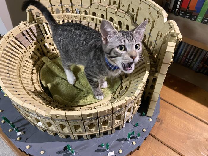 Проголосуй, ебту, ниже