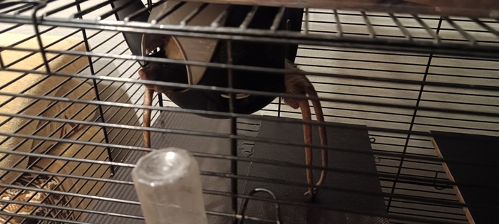   ,      ,  , , , 