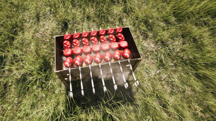      DACHA Steam, , ,   , , , , 