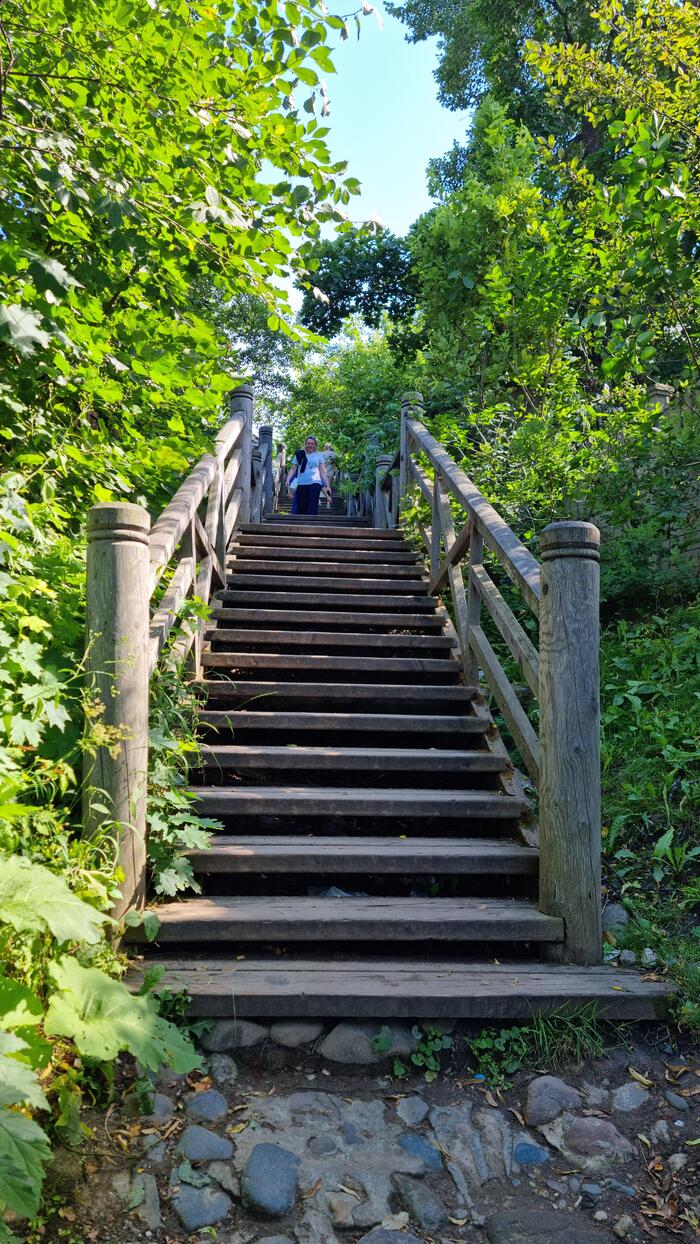 Моё кардио на сегодня – лестница на гору Левитана.