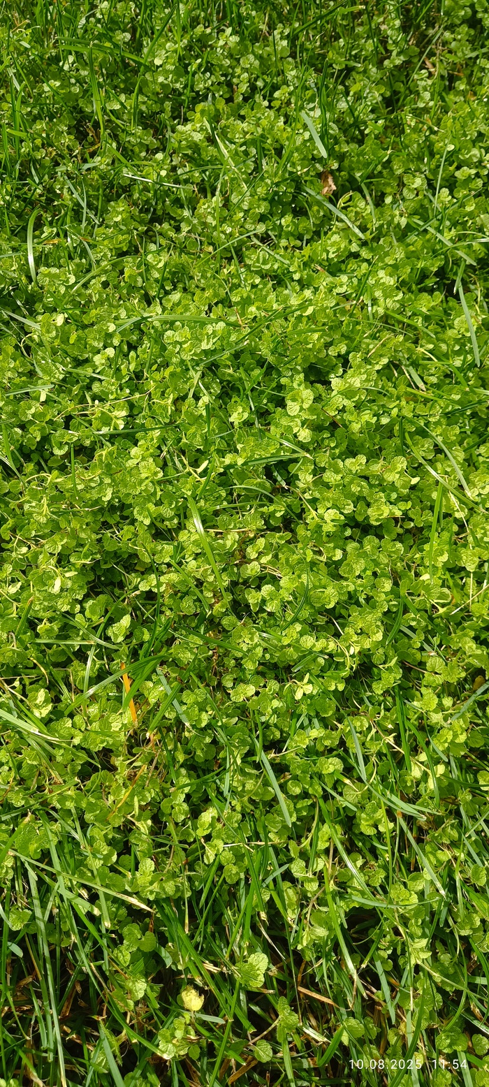        , , , ,  