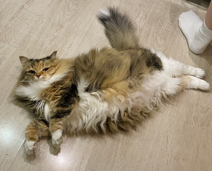   , ,  , , , , , , 