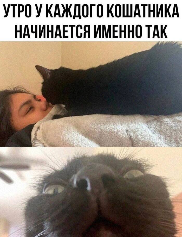   , , 
