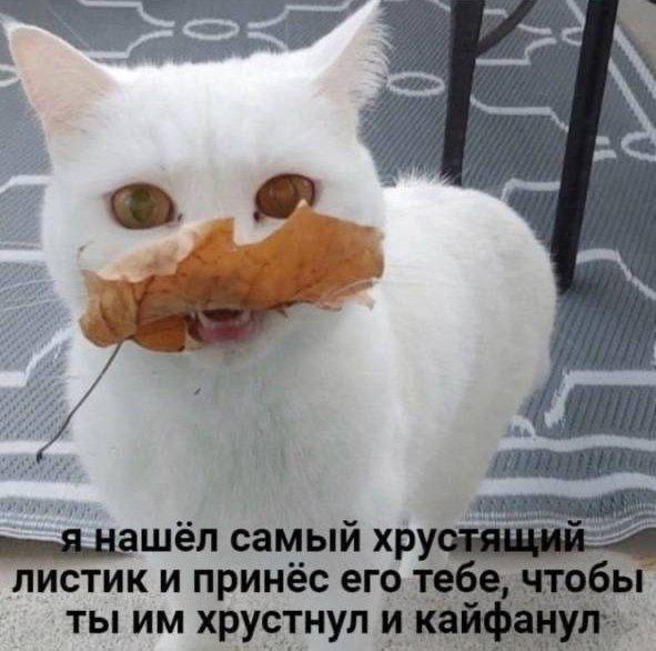  , , ,   ,  