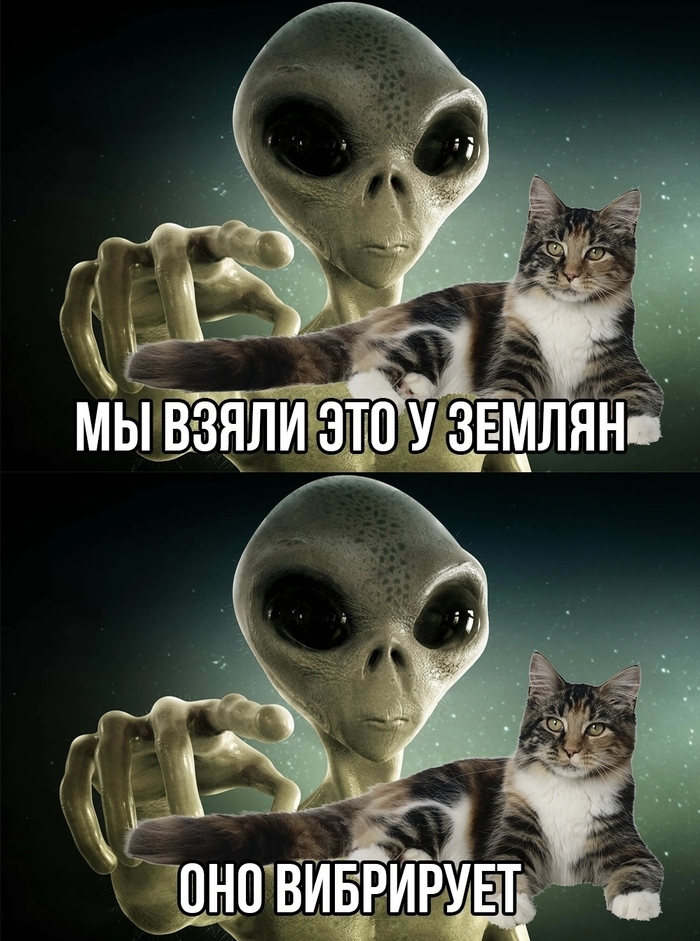  ,   , 