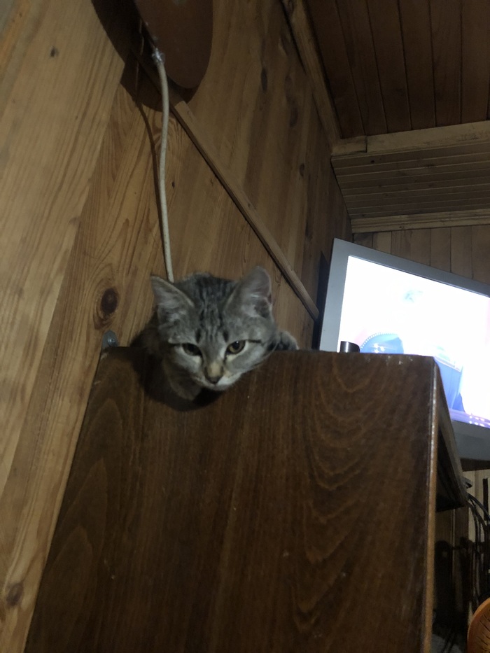 �� �����