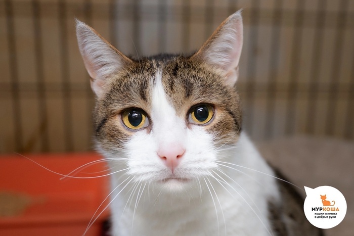   - 13 , ,  .         .