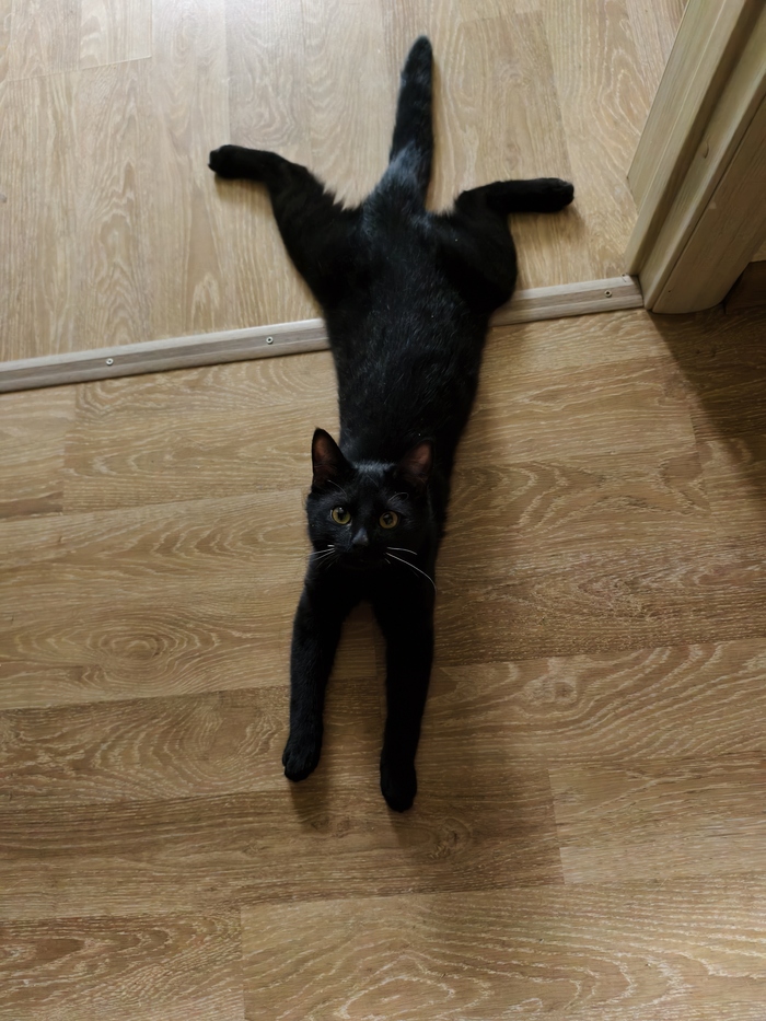     , ,  , ,  , ,  ,   , 