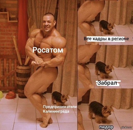  Hoolygun14   