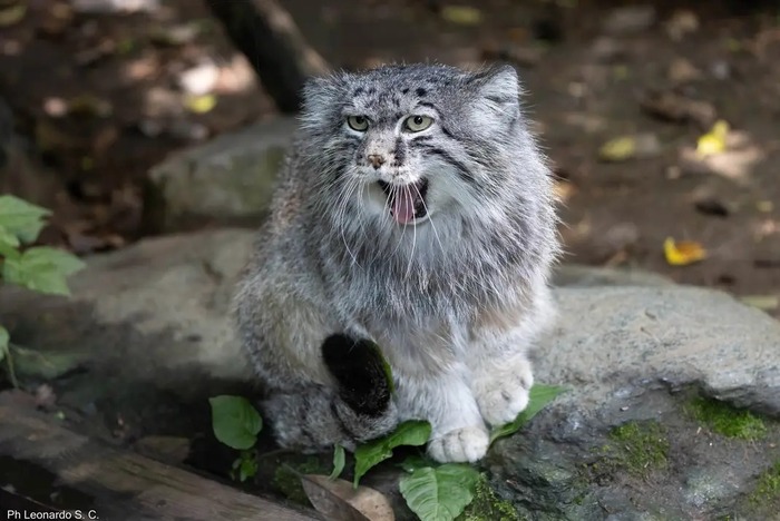 Вот поели, теперь можно и поспать