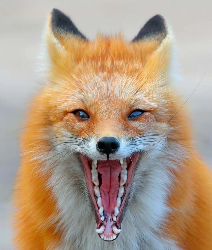 ! , ,  ,  ,  ,   ,  , , 