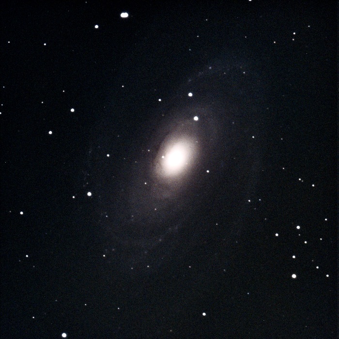   NGC 3031/M 81    , , , , ,  