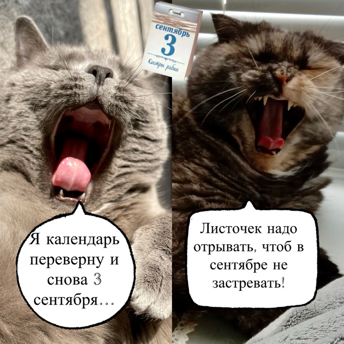 ,   , , 