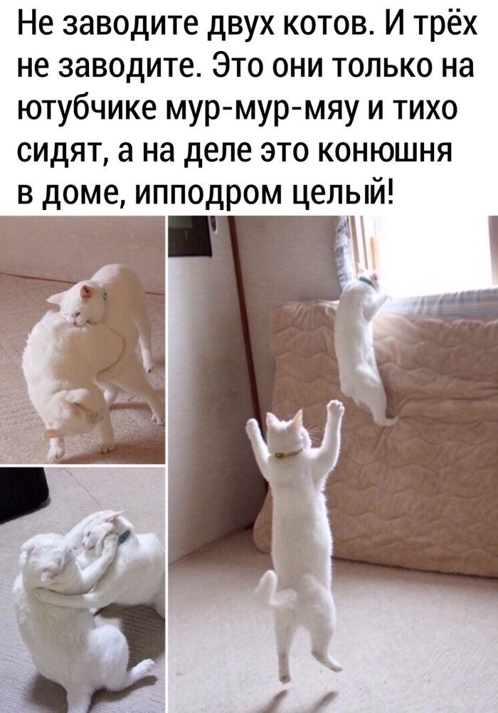         ? ,   , , 