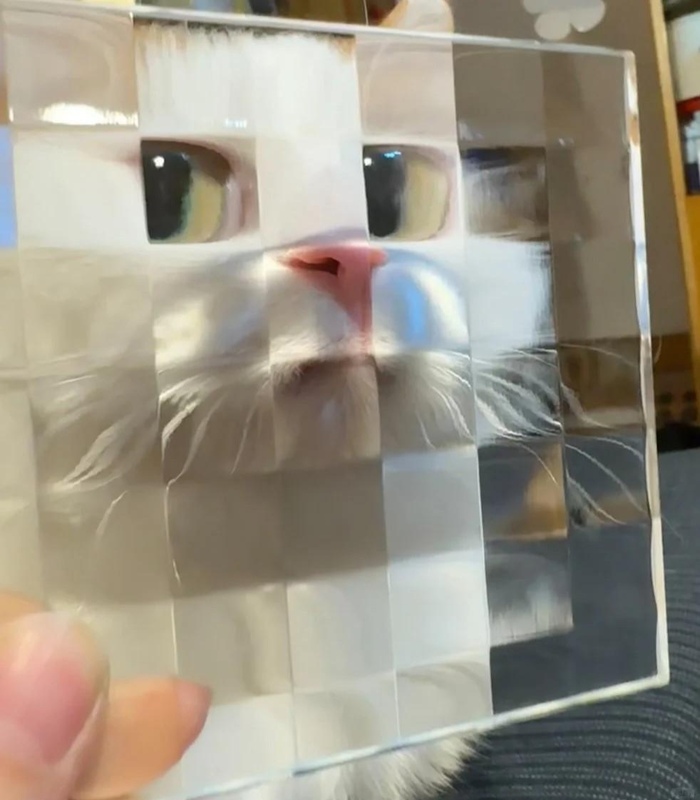  , , , , 