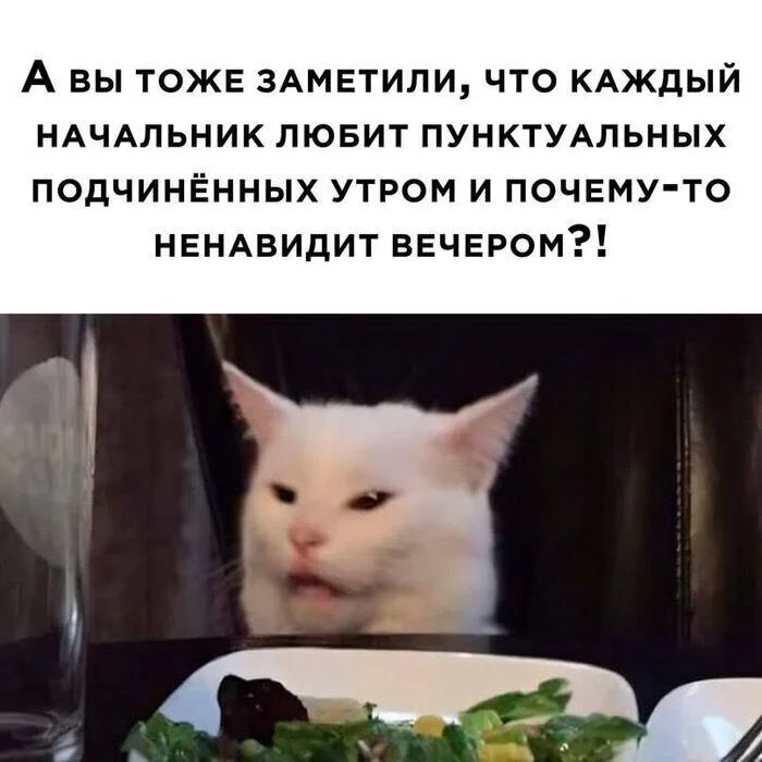 uggfl445.webp
