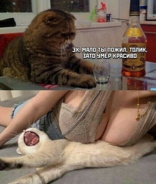 .. 