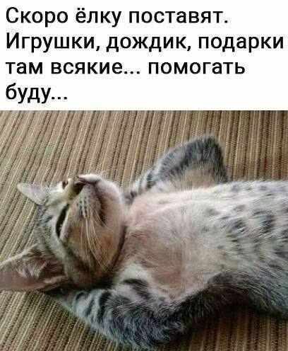  ,   , ,  