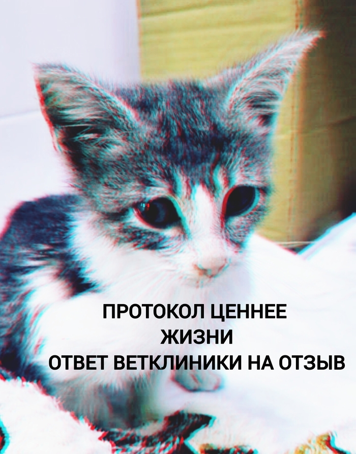     . -    , ,  , 