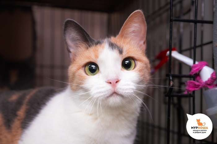   - 2 ,   ,        .  .        -  . 