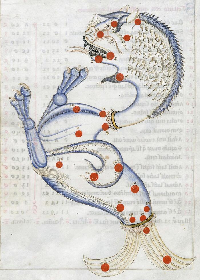  . "Sufi Latinus",   " - -",  - -,  1250-1251 .   , .