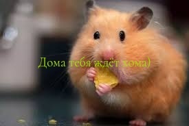 ,  , , , , , ,   ,   , , 