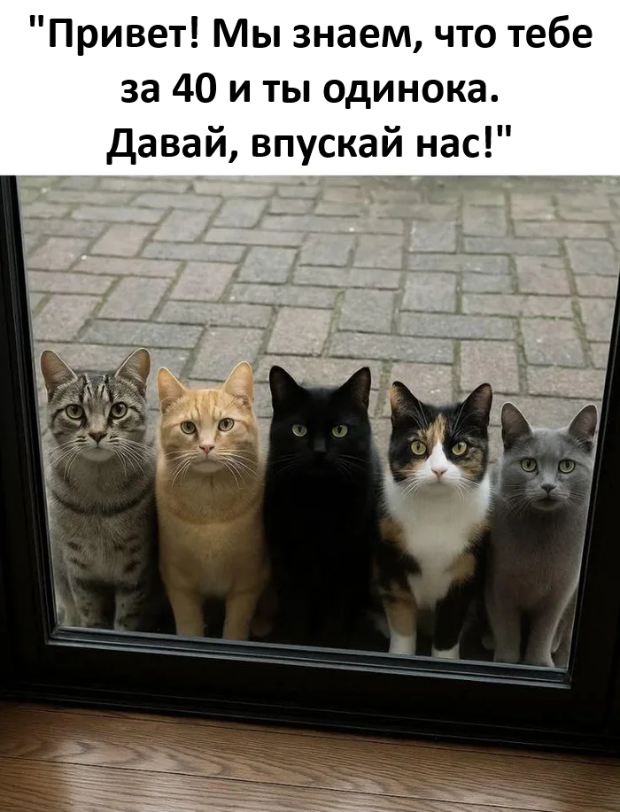   , , ,   , Telegram ()