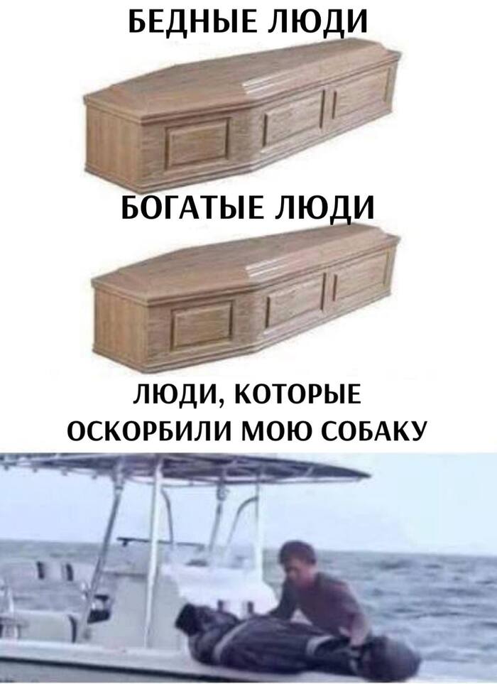   ,   ,  , ,  , Telegram ()