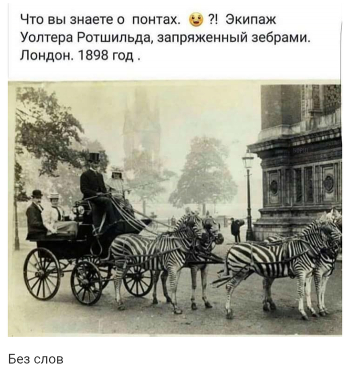     ,  , , , , , 
