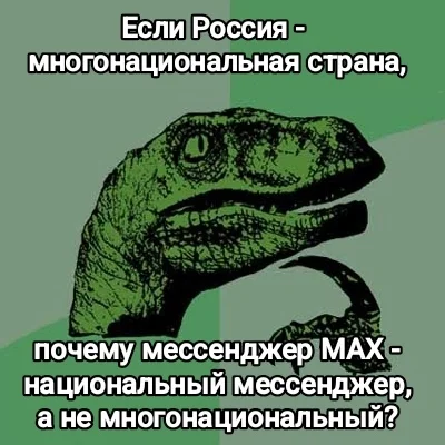 iipvl6a7.webp