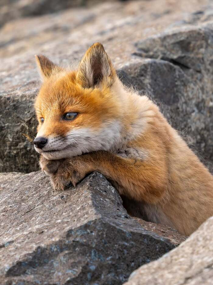  , ,  ,  ,  , , 