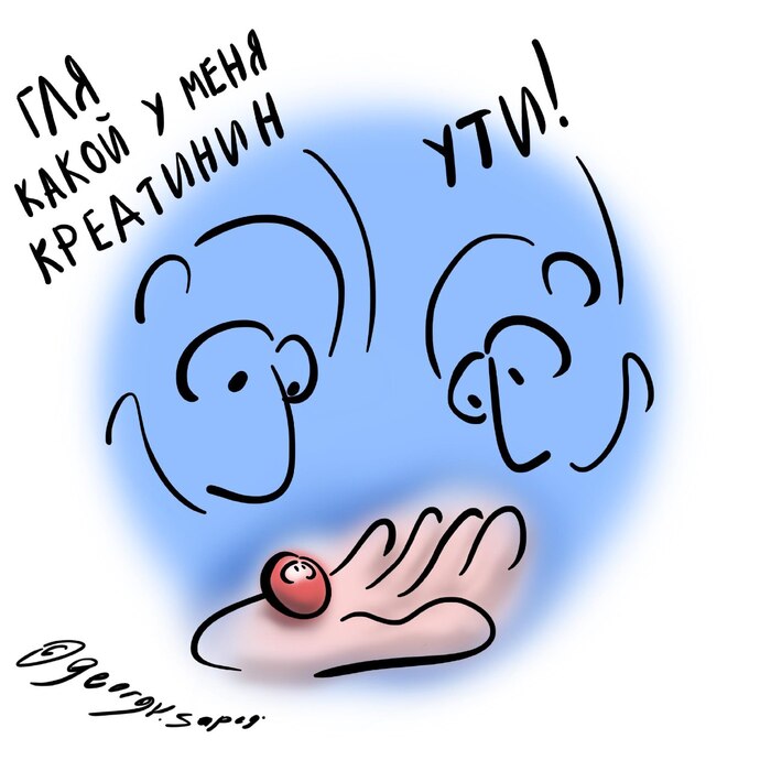     "     ,     "   , , , , Telegram ()