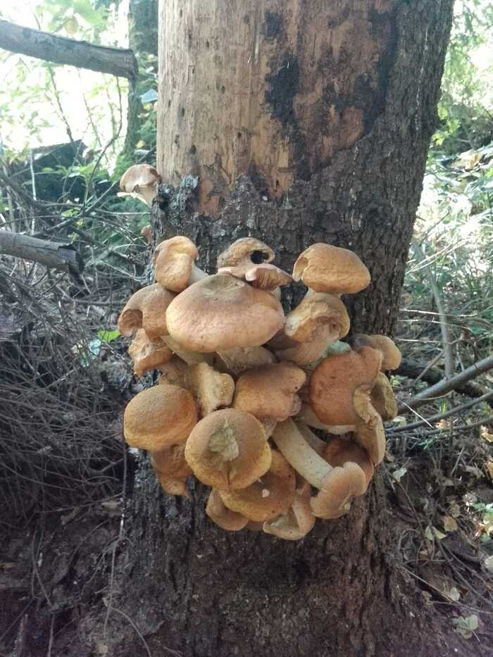   , ,  , , ,  , , 